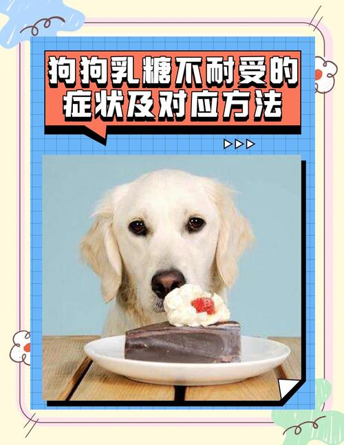 狗狗可以吃棉花糖么?