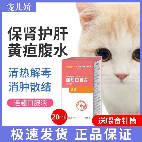 狗狗腹部积水吃什么药