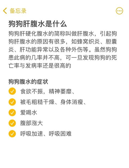 怎样对待狗狗腹水问题