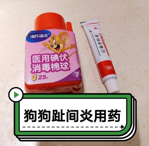 狗狗可不可以用红霉素软膏