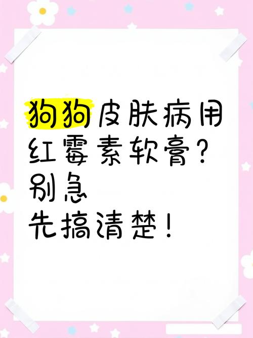 狗狗抹红霉素不怕舔吗