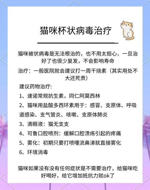 猫咪感染了猫杯状病毒怎么治疗?