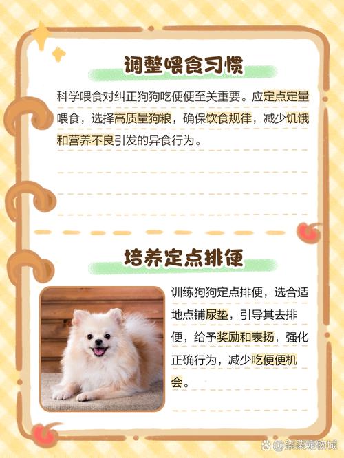 小狗吃自己的屎如何纠正