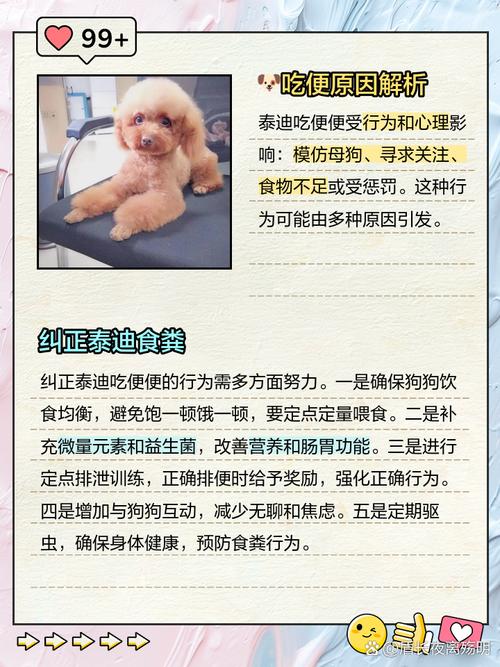 狗吃自己的屎怎么办