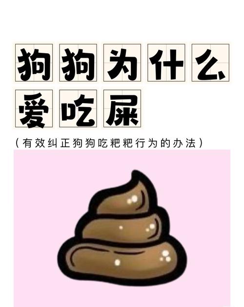 如何制止狗吃自己的屎