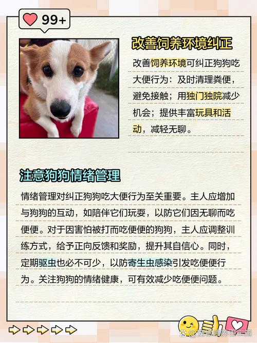 小狗狗吃自己的便便怎么办?