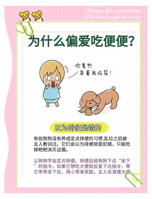 小狗吃自己的屎怎么办
