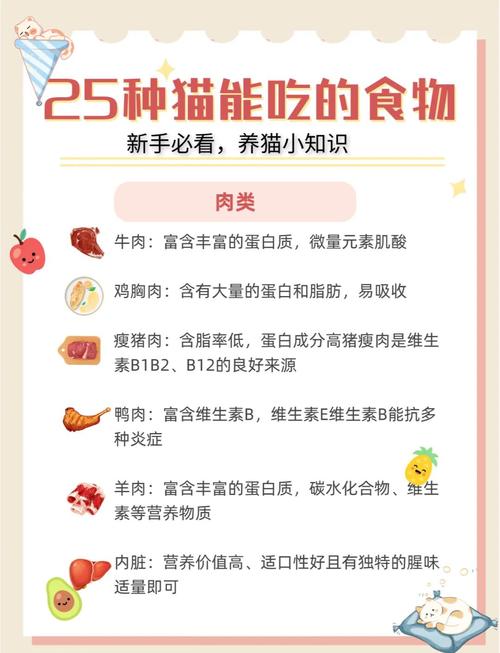 你家的猫猫喂猫粮吗一次喂多少啊一天几次