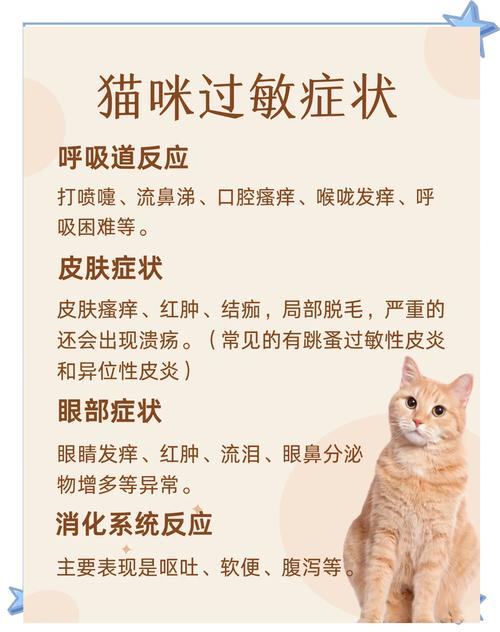 猫咪为什么会过敏?常见的过敏源总结!建议收藏