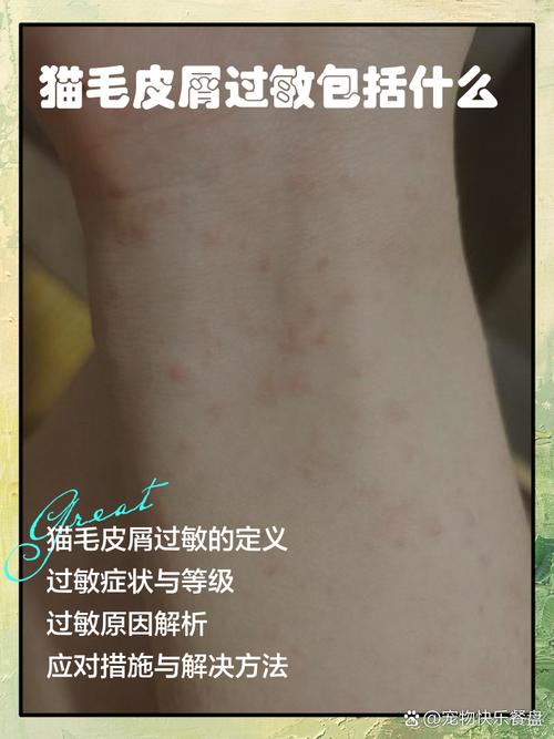 猫咪会对哪些气味过敏?