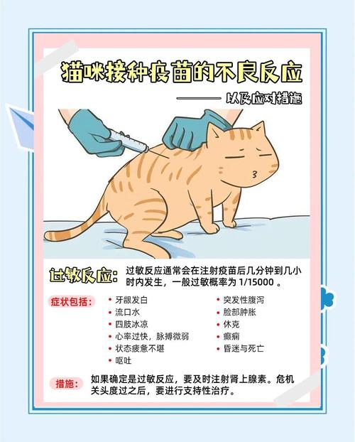 猫打疫苗后的不良反应