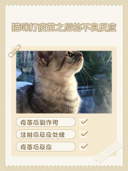猫咪打疫苗之后的不良反应