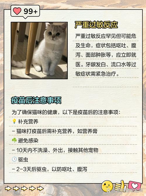 猫咪打完疫苗精神不好一直睡觉什么原因?