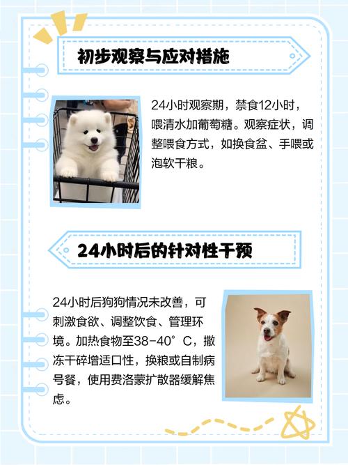 狗狗没精神一直趴着还发抖怎么回事