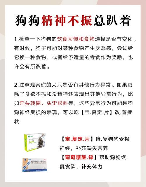 小狗狗为什么会发抖