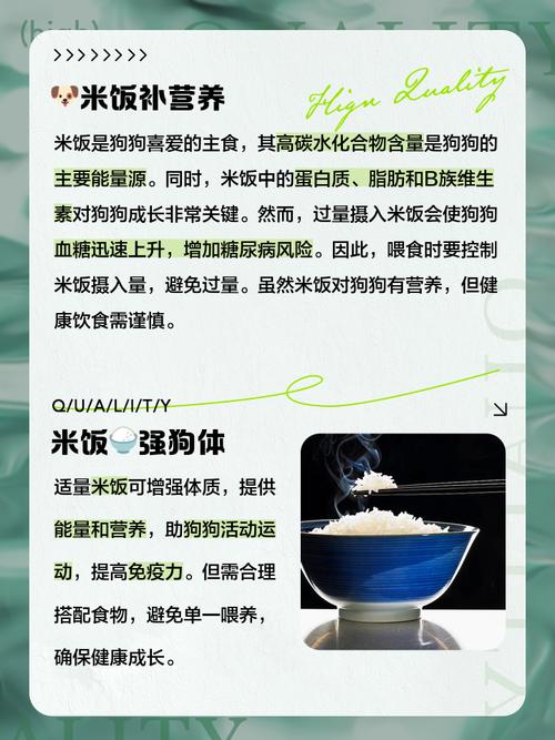 幼犬可以喝粥吗