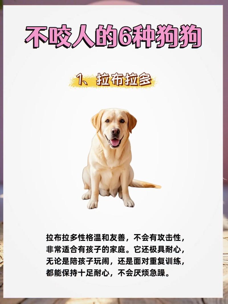 狗狗什么时候才能不咬东西
