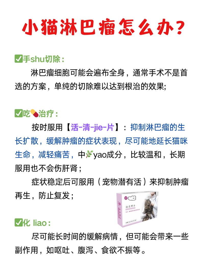 猫咪淋巴结肿大能自愈吗