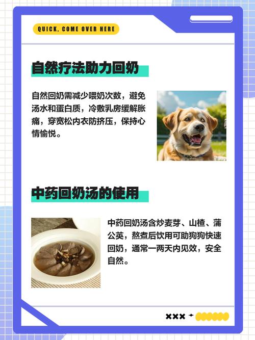 小狗满月需要吃回奶药吗