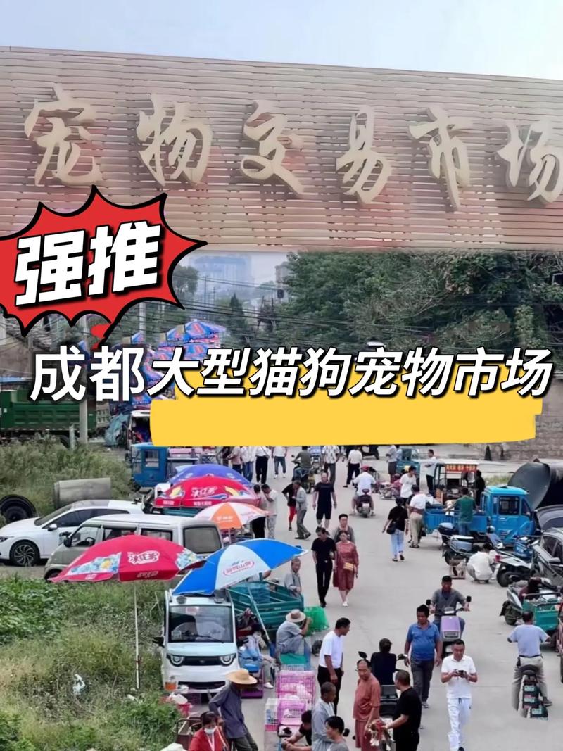 北京有训练狗狗的地方吗?