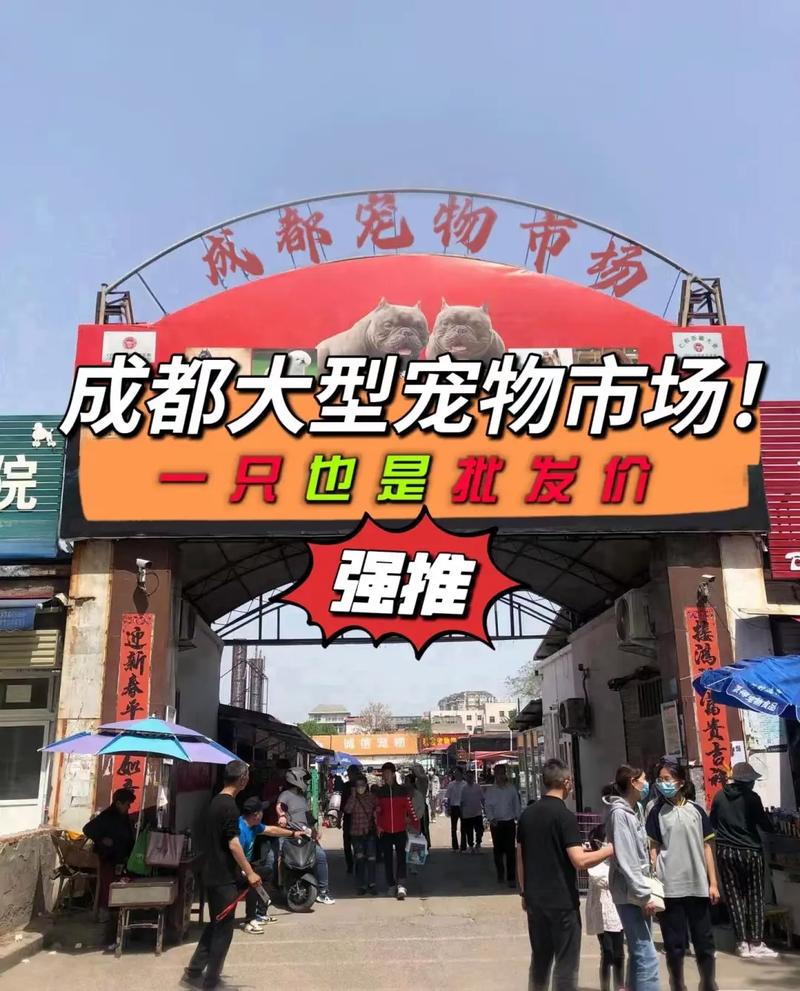 成都狗狗训练学校有哪些