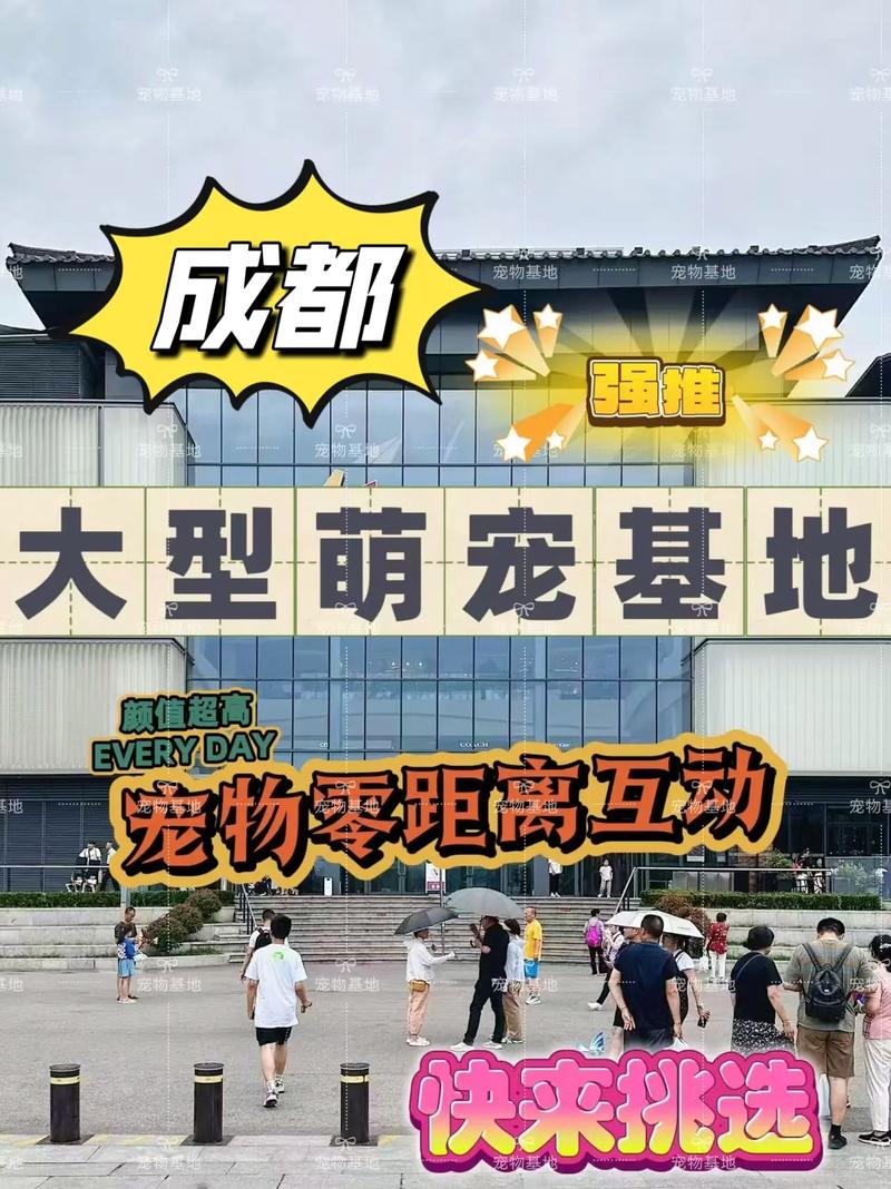 沈阳有训犬的地方吗