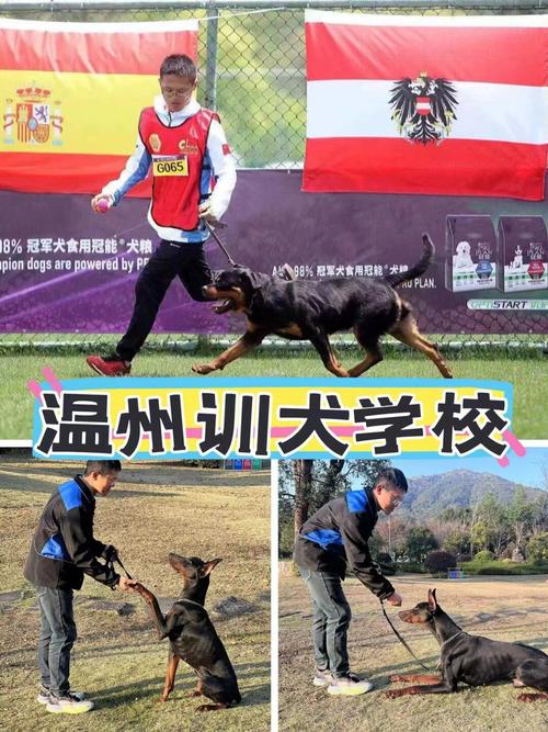 哪里有训犬师培训学校
