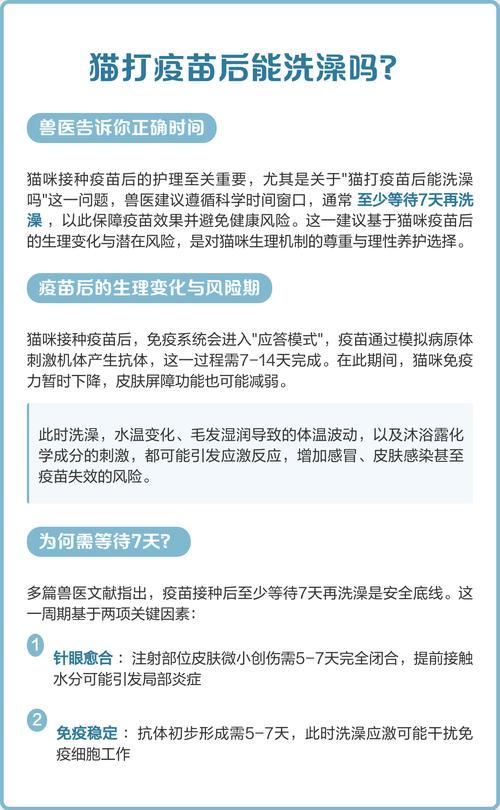 猫打针之前能洗澡吗