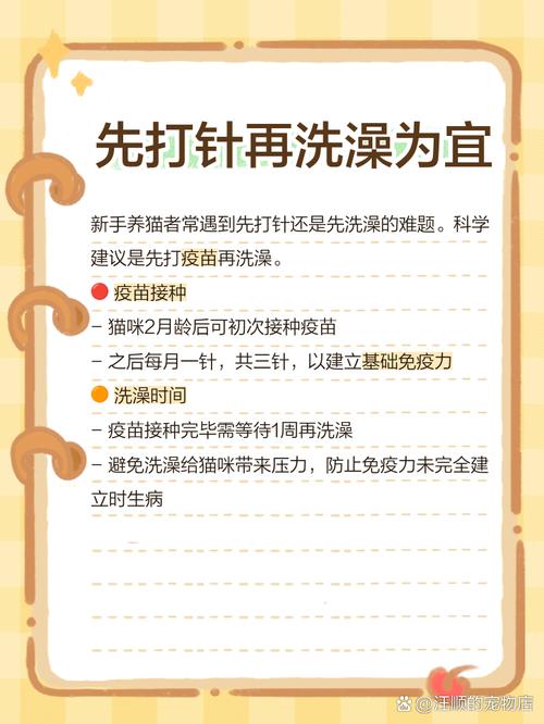 猫咪注射疫苗有什么禁忌?