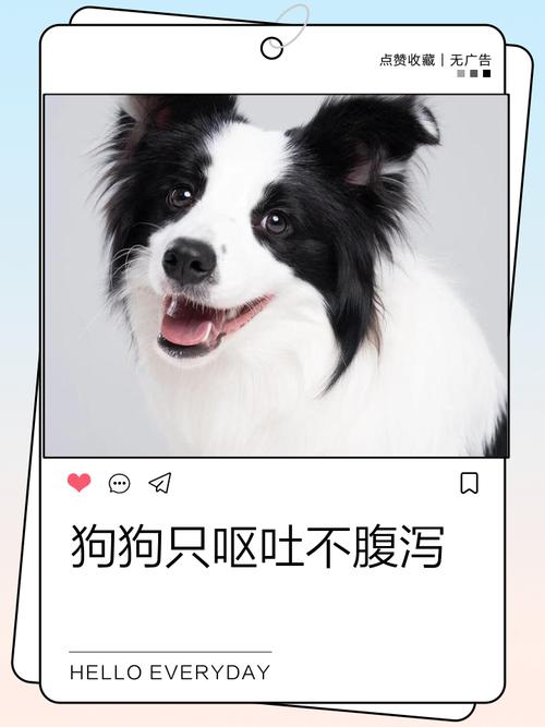 狗狗拉稀不吐是细小吗,狗狗不吐只拉稀