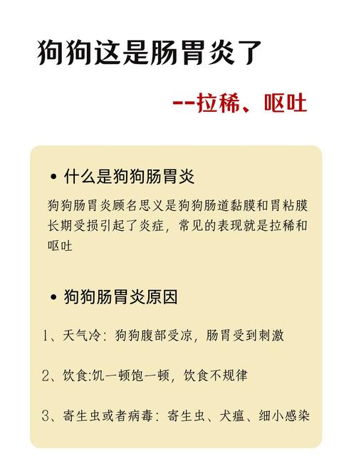 狗狗拉稀不吐是细小吗
