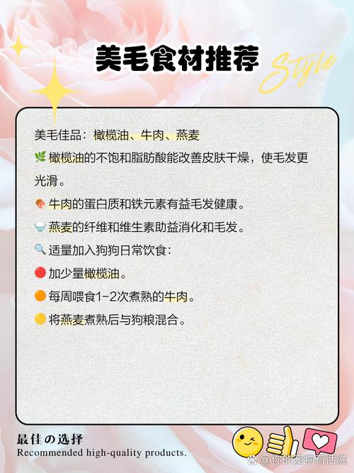 可以给狗狗喂猪肉吗