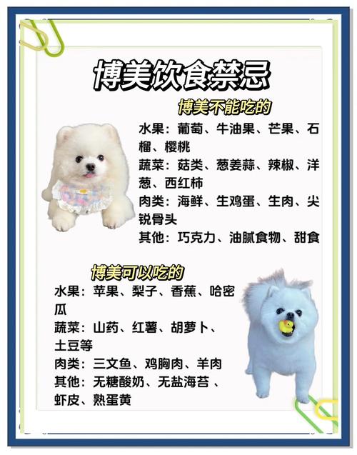 狗狗吃什么肉比较好