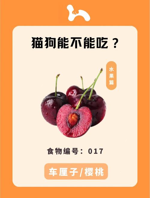 狗狗能吃车厘子吗?