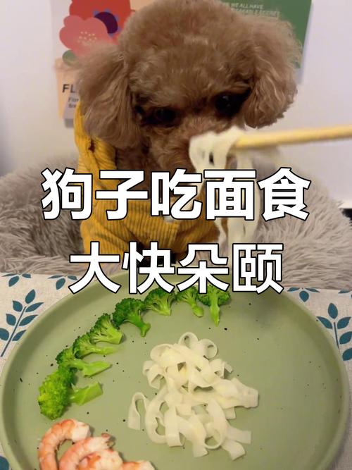 三个月的泰迪狗狗能不能吃米饭或面条!