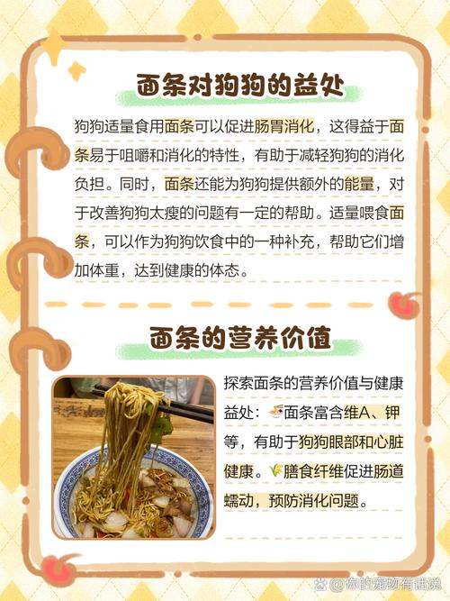 狗狗为什么能吃面条呢