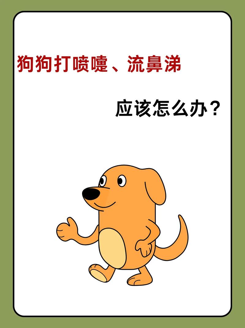狗狗流鼻涕咳嗽怎么办?