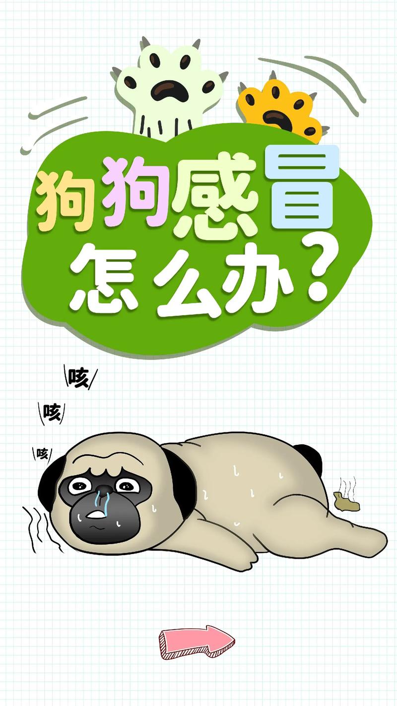 狗狗流鼻涕咳嗽怎么办