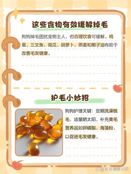 狗狗掉毛严重,吃什么可以改善毛发?