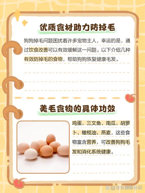 狗狗吃什么防止掉毛