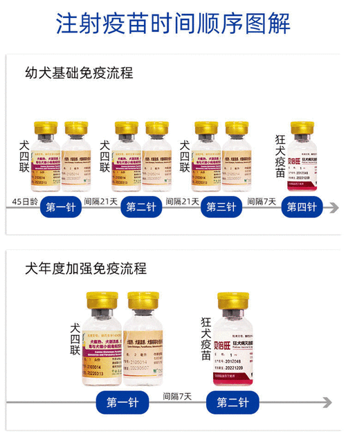 狗保健品前十品牌推荐