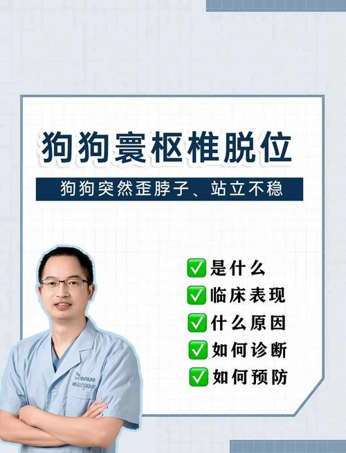 狗狗为什么会歪脖