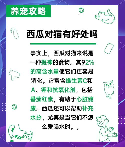 猫咪可以吃西瓜吗?需要注意什么?