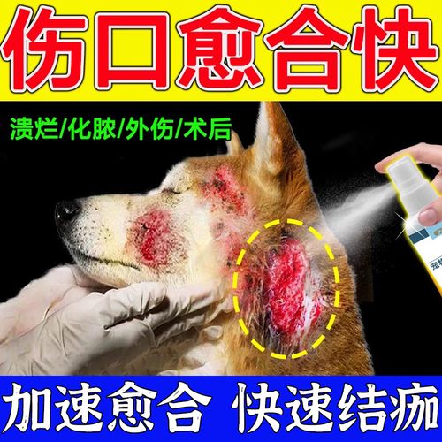 狗狗伤口愈合用什么药