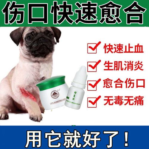 狗狗伤口不愈合用什么药