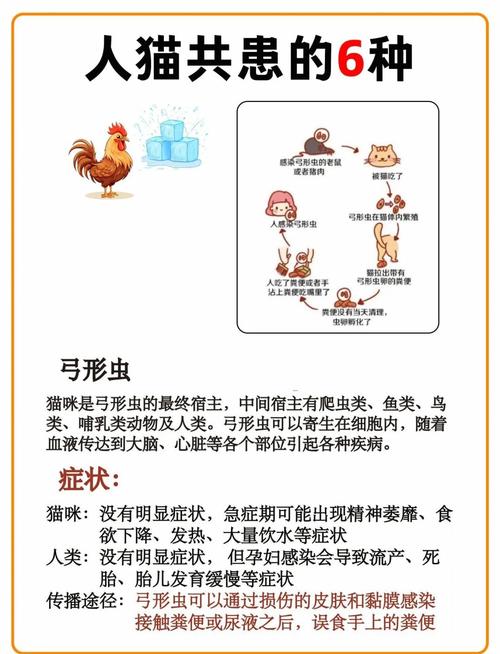 人和猫身上的细菌哪个更多?