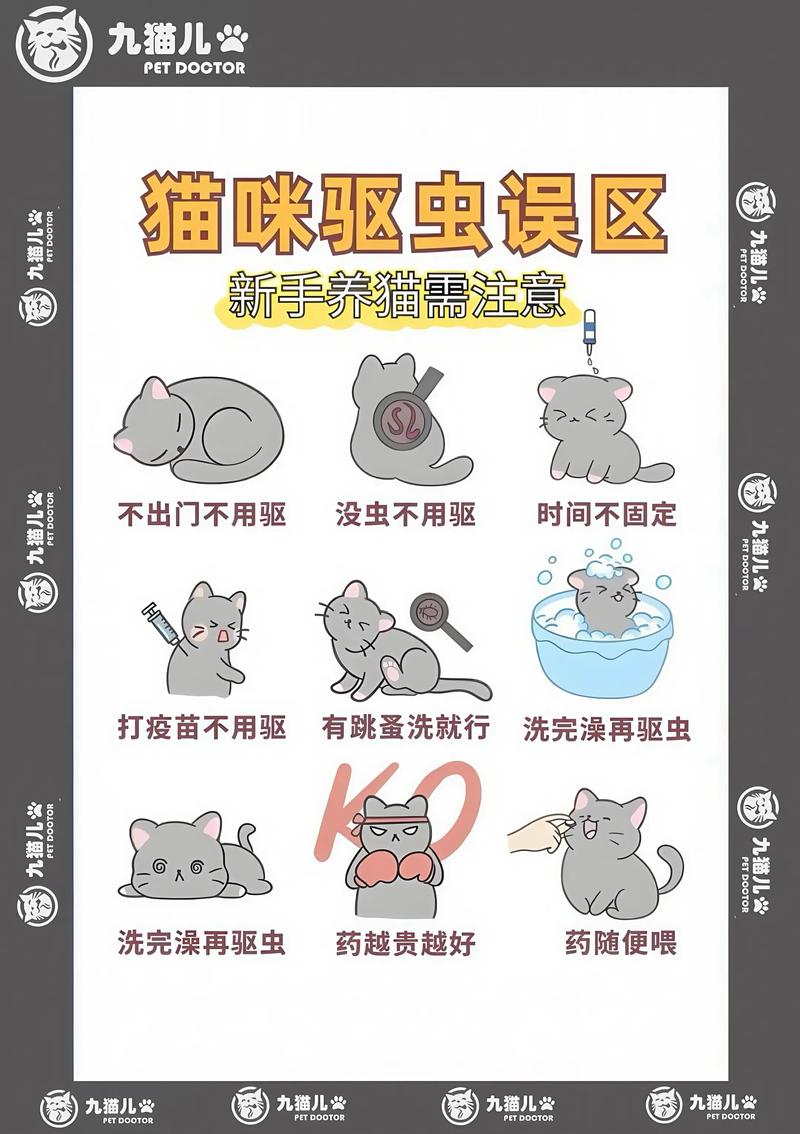 想养家猫驱老鼠,猫咪有病菌吗