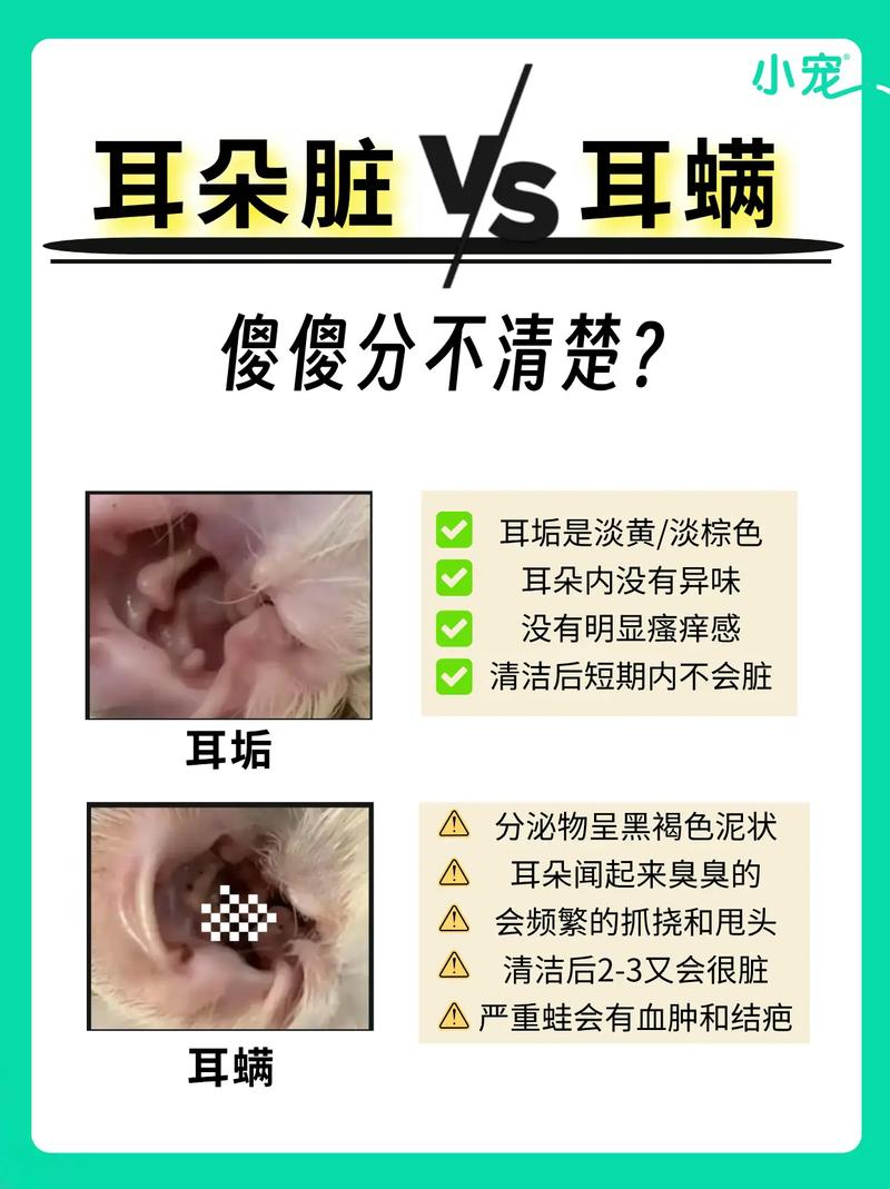 狗狗洗耳朵怎么洗