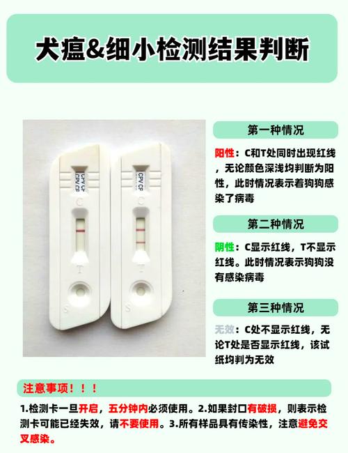 狗瘟初期能检查出来吗