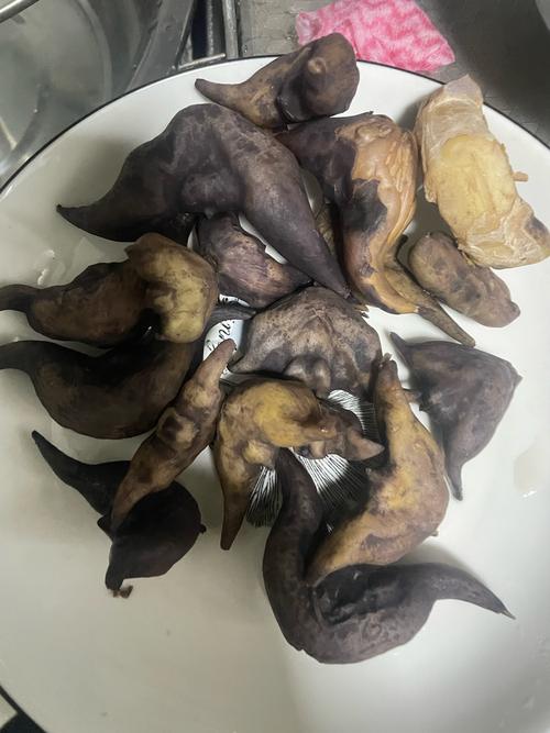 狗可以吃菱角吗?